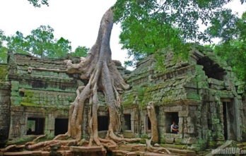 Du lịch Campuchia Angkor Wat 3 ngày 2 đêm đi máy bay về máy bay